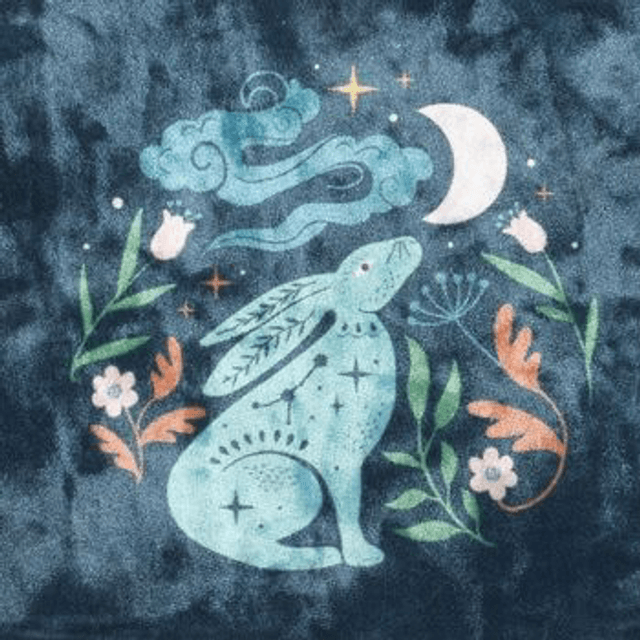 Midnight Hare Velvet Makeup bag