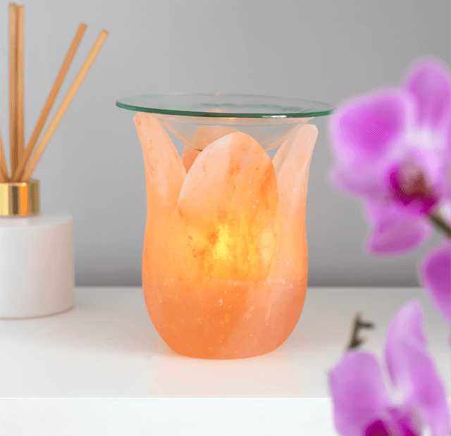 Himalayan Tulip 