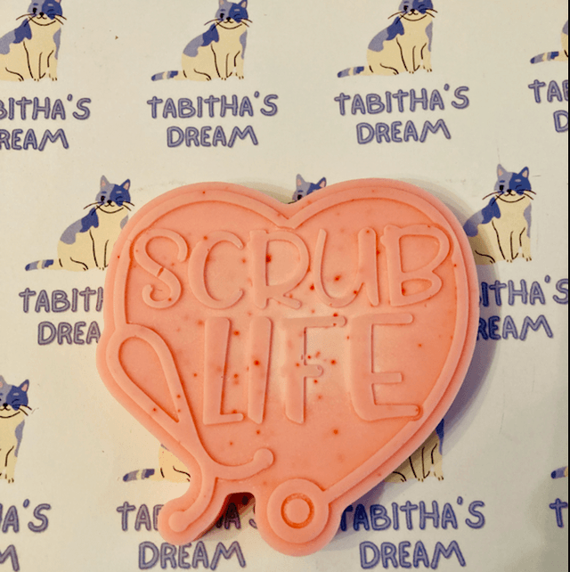Scrub Life Nursing Wax melt 